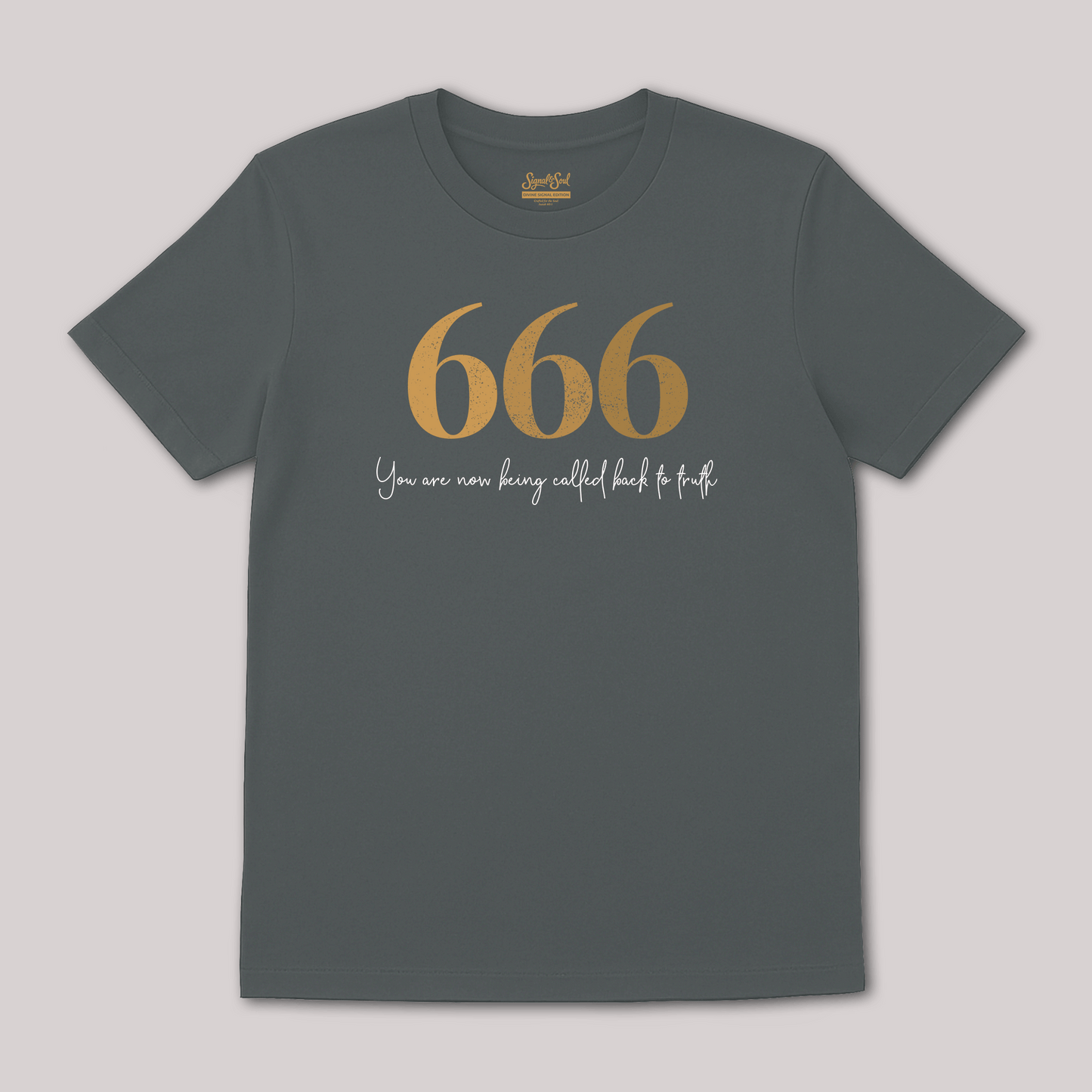 666 – Return to Truth Tee