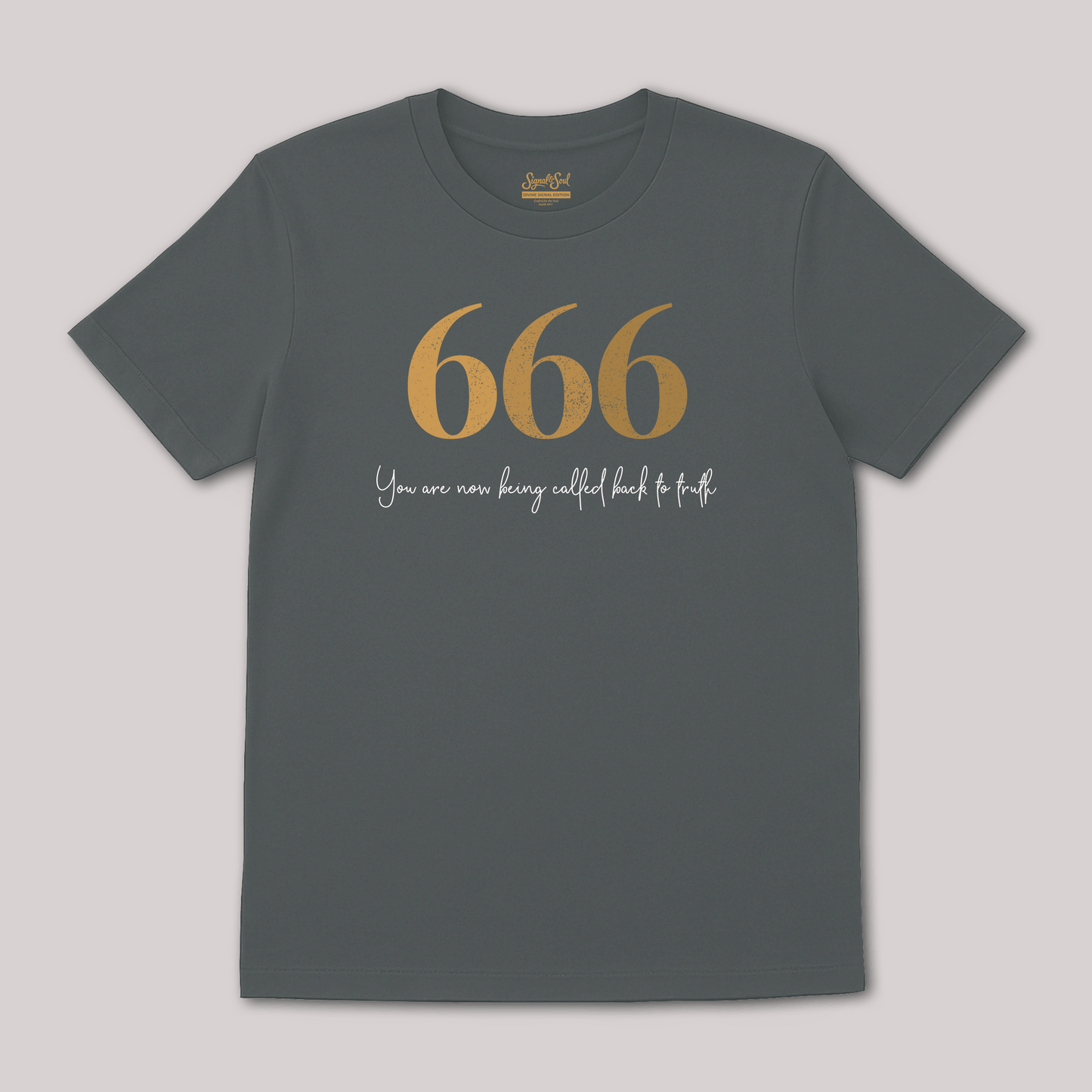 666 – Return to Truth Tee